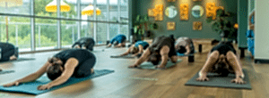 Tawa Yoga Students in childs