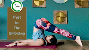 yogi in plough pose at Tawa Yoga Studio